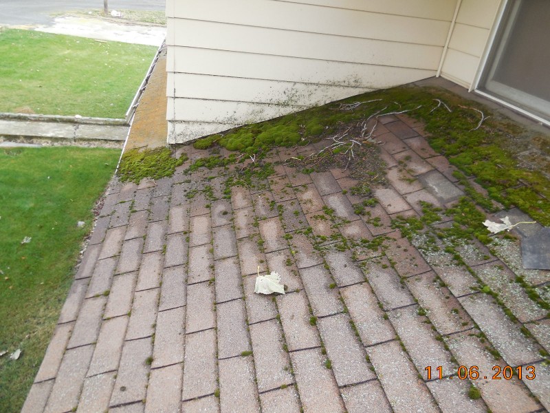 moss removal