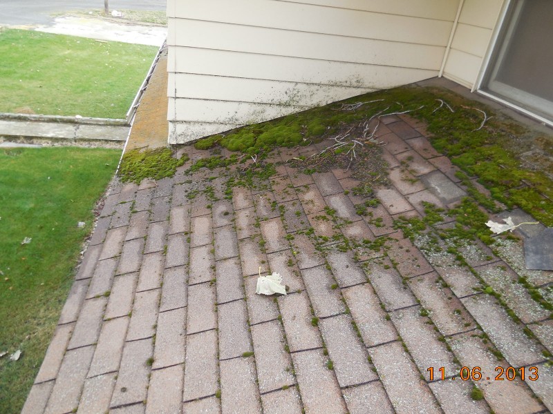 Roof Moss Removal In Woodinville